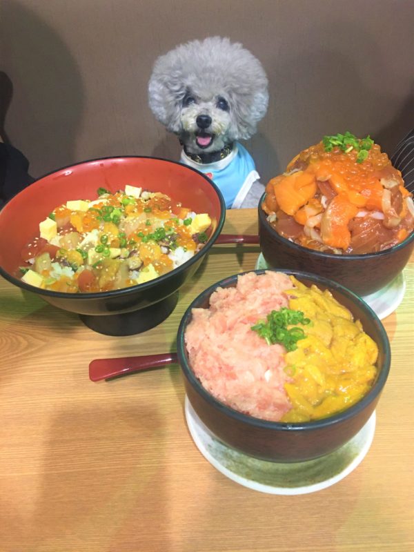 伊豆高原ビール本店 犬連れで海鮮丼は食べられるの うまいもん処 伊東マリンタウン店は れもんログ